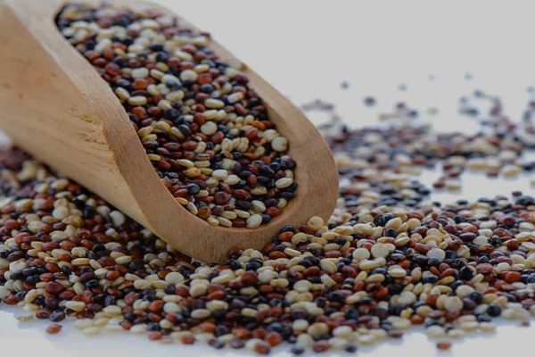 Organic Tri Color Quinoa